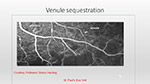  Venule sequestration
