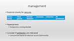 management
