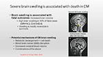 Severe brain